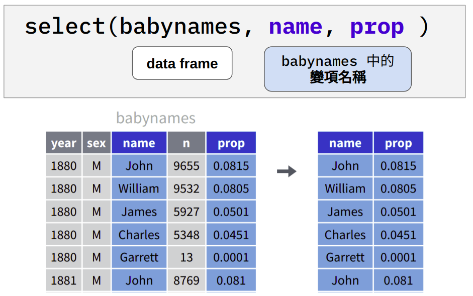 篩選出 `babynames` 中的 `name` 與 `prop` 變項。